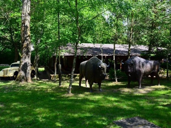 Galeria - zdjęcie 12