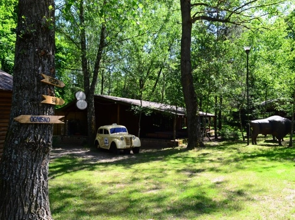 Galeria - zdjęcie 9