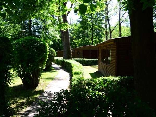 Galeria - zdjęcie 7