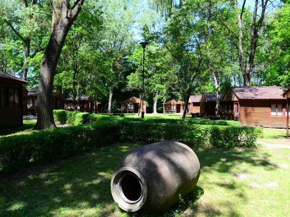 Galeria - zdjęcie 6