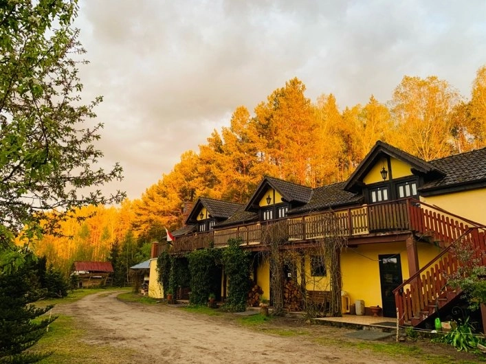 Galeria - zdjęcie 5