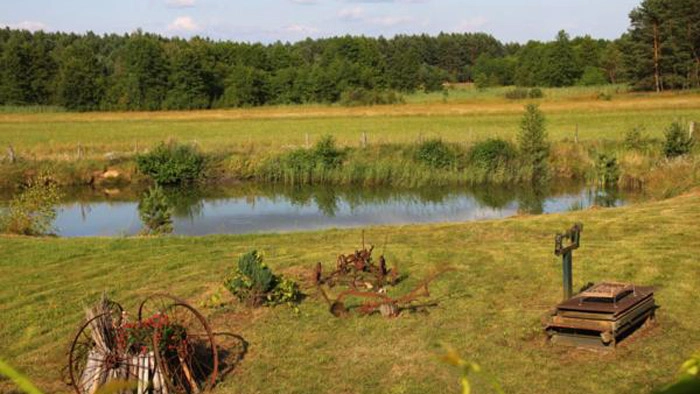 Galeria - zdjęcie 6