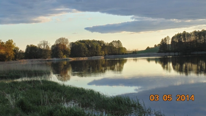 Miejscówka 011 - Raciąż - zdjęcie 11