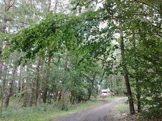 Miejscówka 012 - Borne Sulinowo i okolice - zdjęcie 5