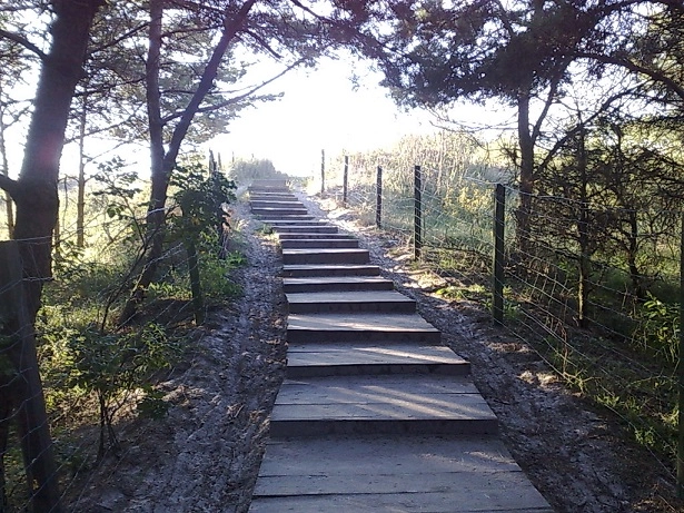 Miejscówka 014 - Międzywodzie II - zdjęcie 2