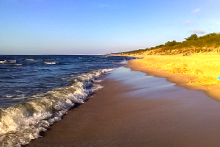 Miejscówka 014 - Międzywodzie II - zdjęcie 0