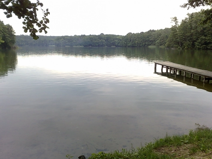 Miejscówka 016 - Lubniewice - zdjęcie 3