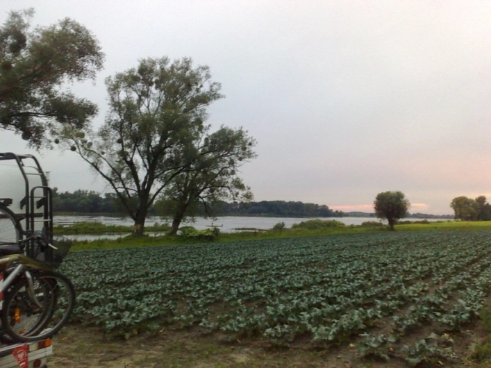 Miejscówka 017 - Wyszogród - zdjęcie 4