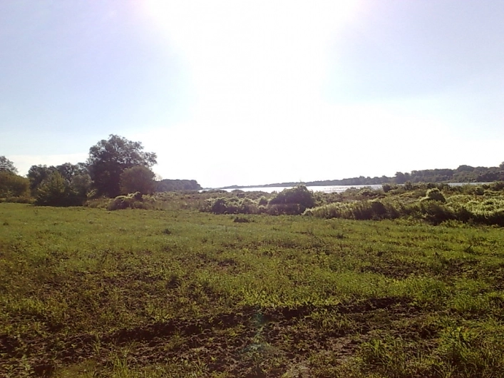 Miejscówka 017 - Wyszogród - zdjęcie 3