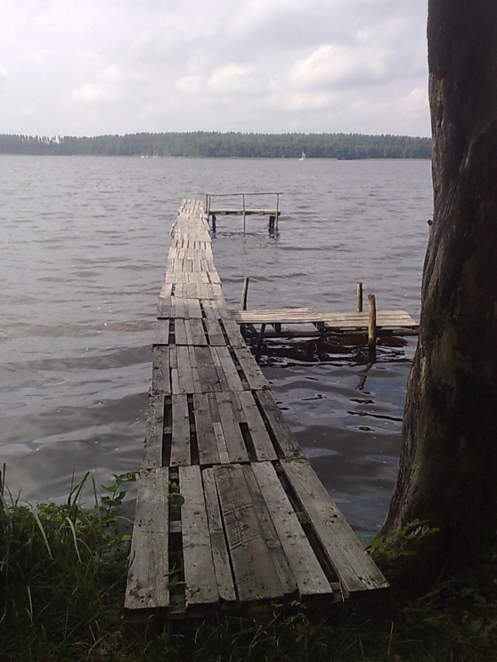 Miejscówka 018 - Wieprz - zdjęcie 3