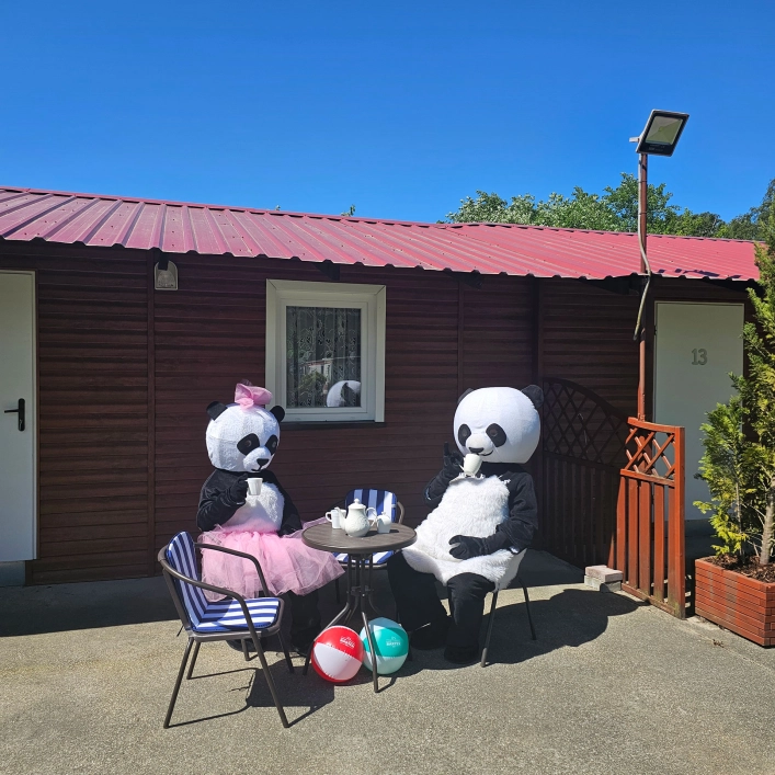 Galeria - zdjęcie 6