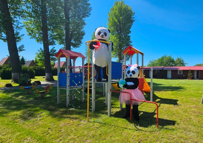 Galeria - zdjęcie 5