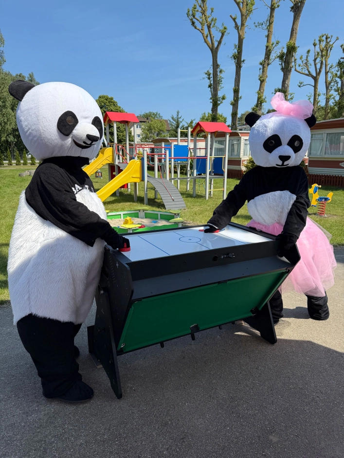 Galeria - zdjęcie 7