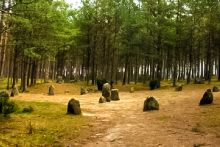 Miejscówka 020 - Węsiory - zdjęcie 0