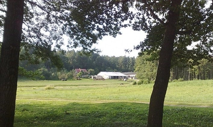 Miejscówka 022 - Jenorajście - zdjęcie 3