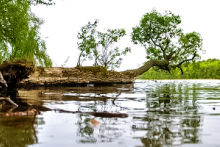 Miejscówka 025 - Gudowo - zdjęcie 0