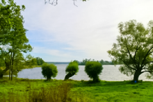 Miejscówka 030 - Rydzówka - zdjęcie 0