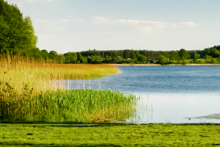 Miejscówka 031 - Ocypel - zdjęcie 0