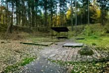 Miejscówka 035 - Boryszyn - zdjęcie 0