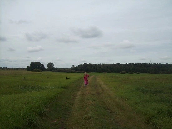 Miejscówka 042 - Mirakowo - zdjęcie 2