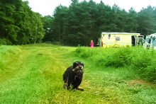 Miejscówka 042 - Mirakowo - zdjęcie 0