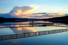 Miejscówka 044 - Czarlina koło Kościerzyny - zdjęcie 0