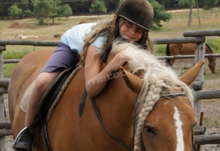 Galeria - zdjęcie 6