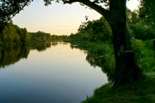 Miejscówka 045 - Inowłódź - zdjęcie 0