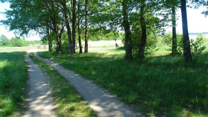 Miejscówka 049 - Grąbczyn - zdjęcie 3