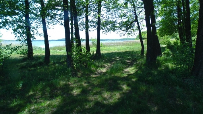 Miejscówka 049 - Grąbczyn - zdjęcie 2