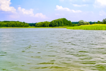 Miejscówka 051 - Kołatka - zdjęcie 0