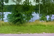 Miejscówka 054 - Pałubice - zdjęcie 0