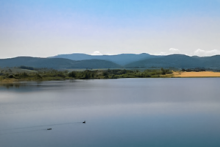 Miejscówka 060 - Pilice - zdjęcie 0