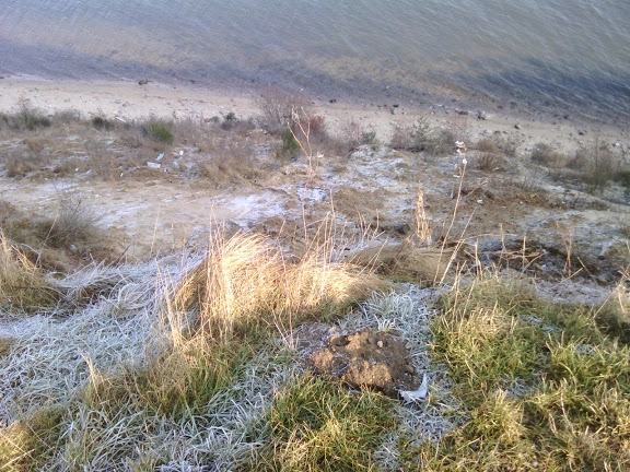 Miejscówka 063 - Mechelinki KLIF / Pierwoszyno - zdjęcie 9