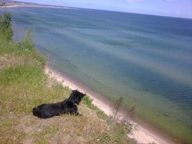 Miejscówka 063 - Mechelinki KLIF / Pierwoszyno - zdjęcie 4