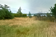 Miejscówka 070 - Zalew Cieszanowice - zdjęcie 0