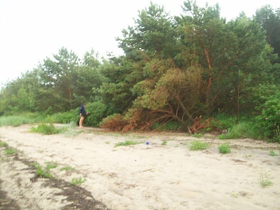 Miejscówka 072 - Błądzikowo ZAMKNIĘTE , brak dojazdu do wody - zdjęcie 5