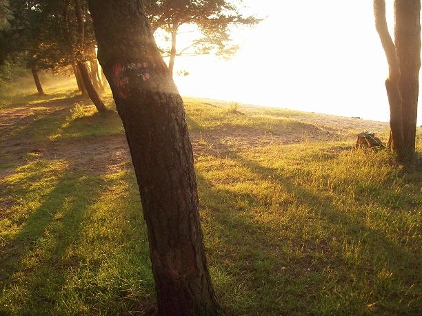 Miejscówka 072 - Błądzikowo ZAMKNIĘTE , brak dojazdu do wody - zdjęcie 4