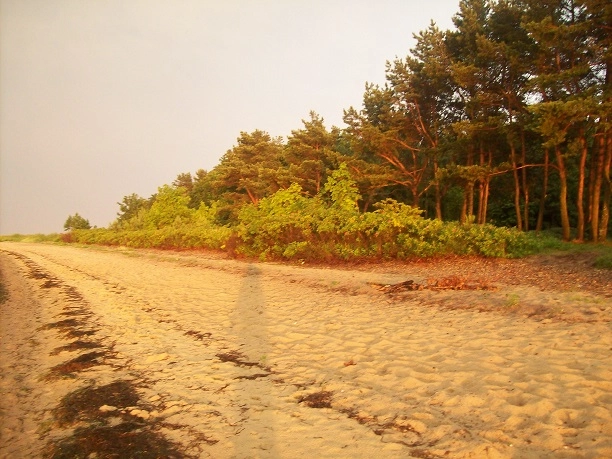 Miejscówka 072 - Błądzikowo ZAMKNIĘTE , brak dojazdu do wody - zdjęcie 3