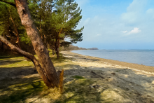 Miejscówka 072 - Błądzikowo ZAMKNIĘTE , brak dojazdu do wody - zdjęcie 0