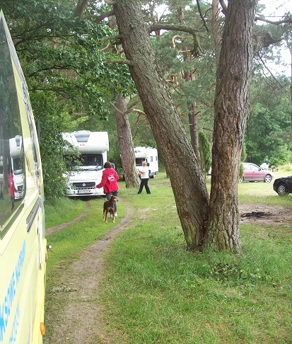 Miejscówka 074 - Gołuń - zdjęcie 5