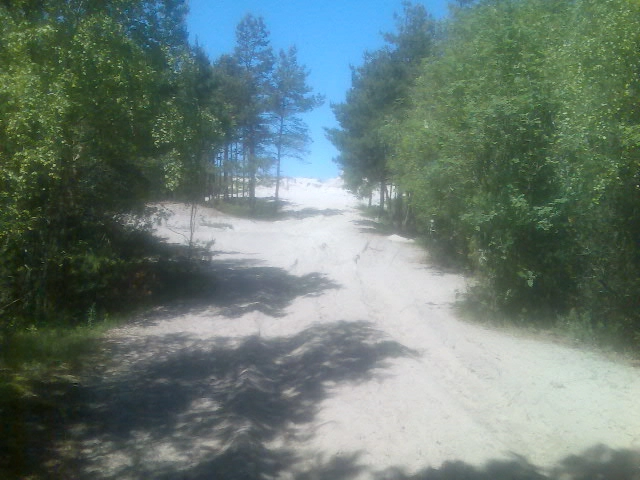 Miejscówka 077 - Piaski    UWAGA REMONT - zdjęcie 5