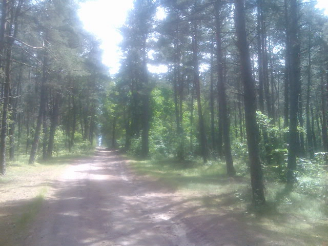 Miejscówka 077 - Piaski    UWAGA REMONT - zdjęcie 4