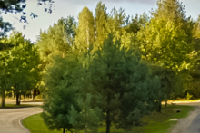 Miejscówka 080 - Patyki - zdjęcie 0