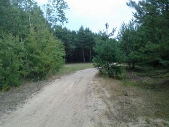 Miejscówka 086 - Bolmin - zdjęcie 5