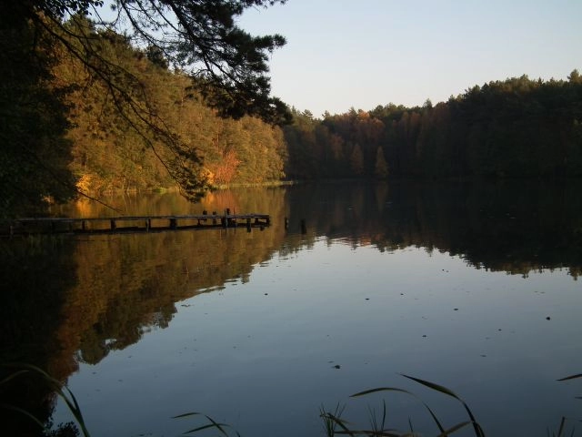 Miejscówka 087 - Ruda  NIEAKTUALNE , leśniczy wygania . - zdjęcie 7