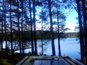 Miejscówka 087 - Ruda  NIEAKTUALNE , leśniczy wygania . - zdjęcie 6