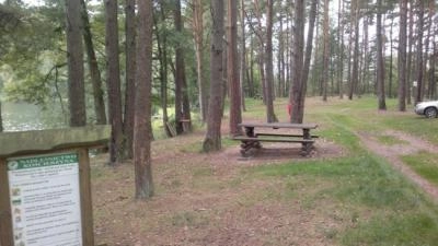 Miejscówka 087 - Ruda  NIEAKTUALNE , leśniczy wygania . - zdjęcie 5