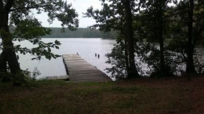 Miejscówka 087 - Ruda  NIEAKTUALNE , leśniczy wygania . - zdjęcie 4