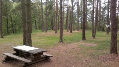 Miejscówka 087 - Ruda  NIEAKTUALNE , leśniczy wygania . - zdjęcie 3